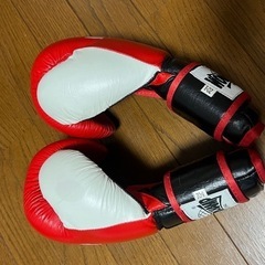 グローブの画像