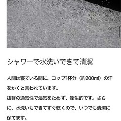 ブレインスリープ ピローの画像