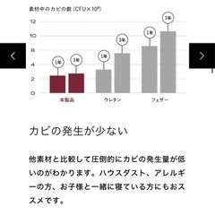 ブレインスリープ ピローの画像
