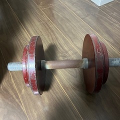ダンベル　筋トレダイエットジムトレーニング
