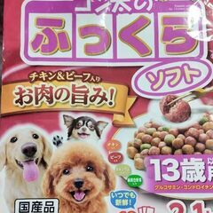 犬用　餌