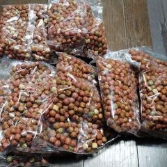 犬用　餌の画像