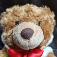 Hotta Apparelのクマのぬいぐるみの画像