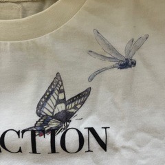 子ども半袖 Tシャツの画像
