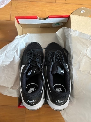 NIKE エアマックス エクスシー　レディース　25cm