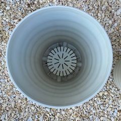 【引渡済】植木鉢 プラスチック 2個セットの画像