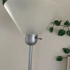 フロアライト/アッパーライト 照明 【ニトリ】LED電球付きの画像