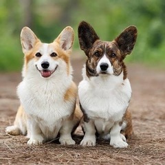 同じ趣味を持つ方募集中 − 埼玉県