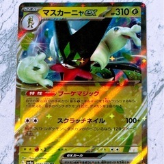 ポケモンカード(5)