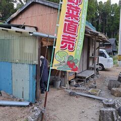 乾燥椎茸！！　原木栽培　の画像
