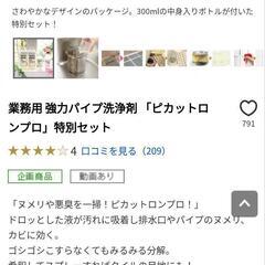 発送可 業務用 強力パイプ洗浄剤 「ピカットロンプロ」特別セット

の画像