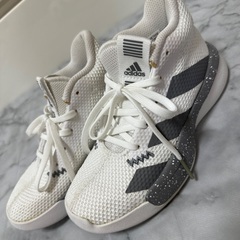 お取引決定！！！！！　キッズ　バスケシューズ　19cm✩⋆︎*の画像