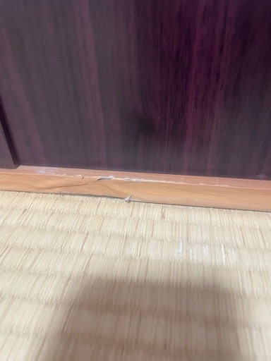 ?本日限定‼️水槽台
