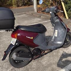 SUZUKIレッツ4の画像