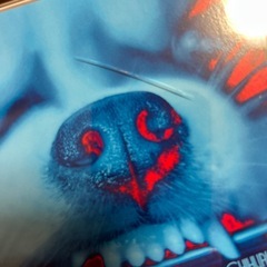 「ATOMIC CHIHUAHUA」 INABA/SALAS② の画像