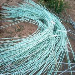 家庭菜園用　防虫ネット用アーチの画像