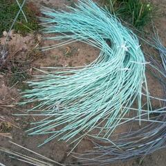 家庭菜園用　防虫ネット用アーチ