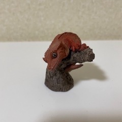 爬虫類　ココナッツ　シェルター　おまけ付きの画像