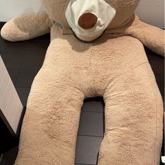 クマのぬいぐるみの画像