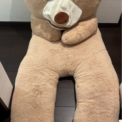 クマのぬいぐるみ