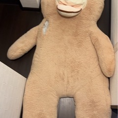 クマのぬいぐるみの画像