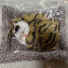 スヤスヤおねむりねこちゃん新品