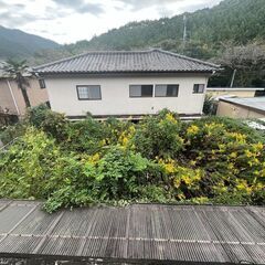【家主直募集】◆リフォーム中◆家賃5万◆初期費用なし◆ペット多頭飼い可◆駐車場2台（車種による）◆生活保護、複数入居、外国人、社宅、事務所、民泊利用歓迎 - 不動産