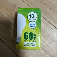 60w形電球