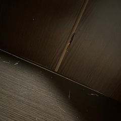 ニトリ　カラーボックスの画像