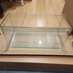 曲げガラス水槽