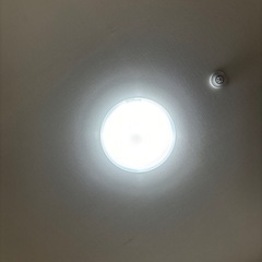 LED