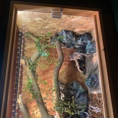 木製ケージの画像