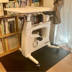 FlexiSpot V9 フレキシスポット フィットネスバイク エアロバイク