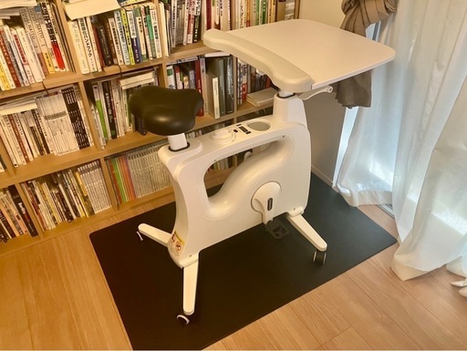 FlexiSpot V9 フレキシスポット フィットネスバイク エアロバイク