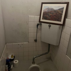 【トイレの塗装手伝ってください】