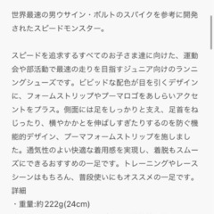PUMA スピードモンスターV4 17cmの画像