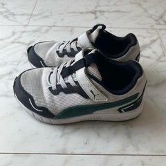 PUMA スピードモンスターV4 17cmの画像
