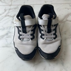 PUMA スピードモンスターV4 17cmの画像