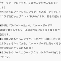 プーマ　スニーカー　ケーブン ブロック AC+インファント　17cmの画像