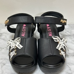 お取引決定！！！！！　ALGY 19cm✩⋆︎*