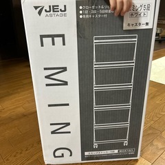 新品　エミングストッカー　5段　チェストの画像