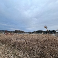 休耕地復活プロジェクト