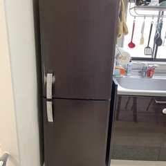 冷蔵庫　ウッドブラウン　256Ｌの画像