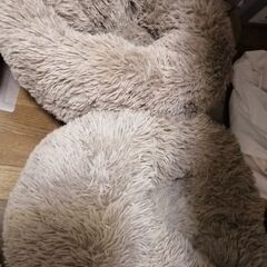 ふわふわクッション　ドーナツ