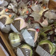 グラス・使い捨て弁当箱・使い捨てオードブル皿等の画像