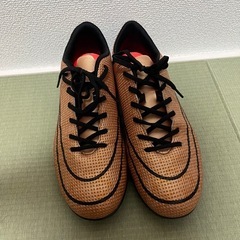  NIKE 　フットサル　
シューズの画像