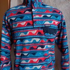 フリース、パタゴニア、Patagonia、Mサイズ