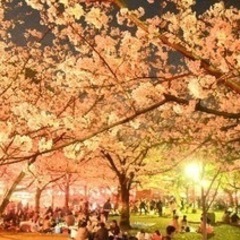 ✨️3月のイベント✨️