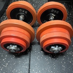 IROTEC ラバーダンベル25kg (2個セット計50KG)