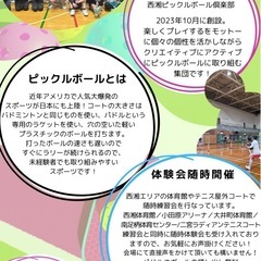 ピックルボール　メンバー募集！Let's enjoy pickl...